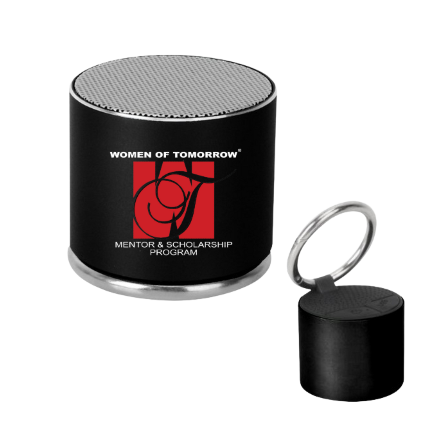 Mini Aluminum Wireless Speaker